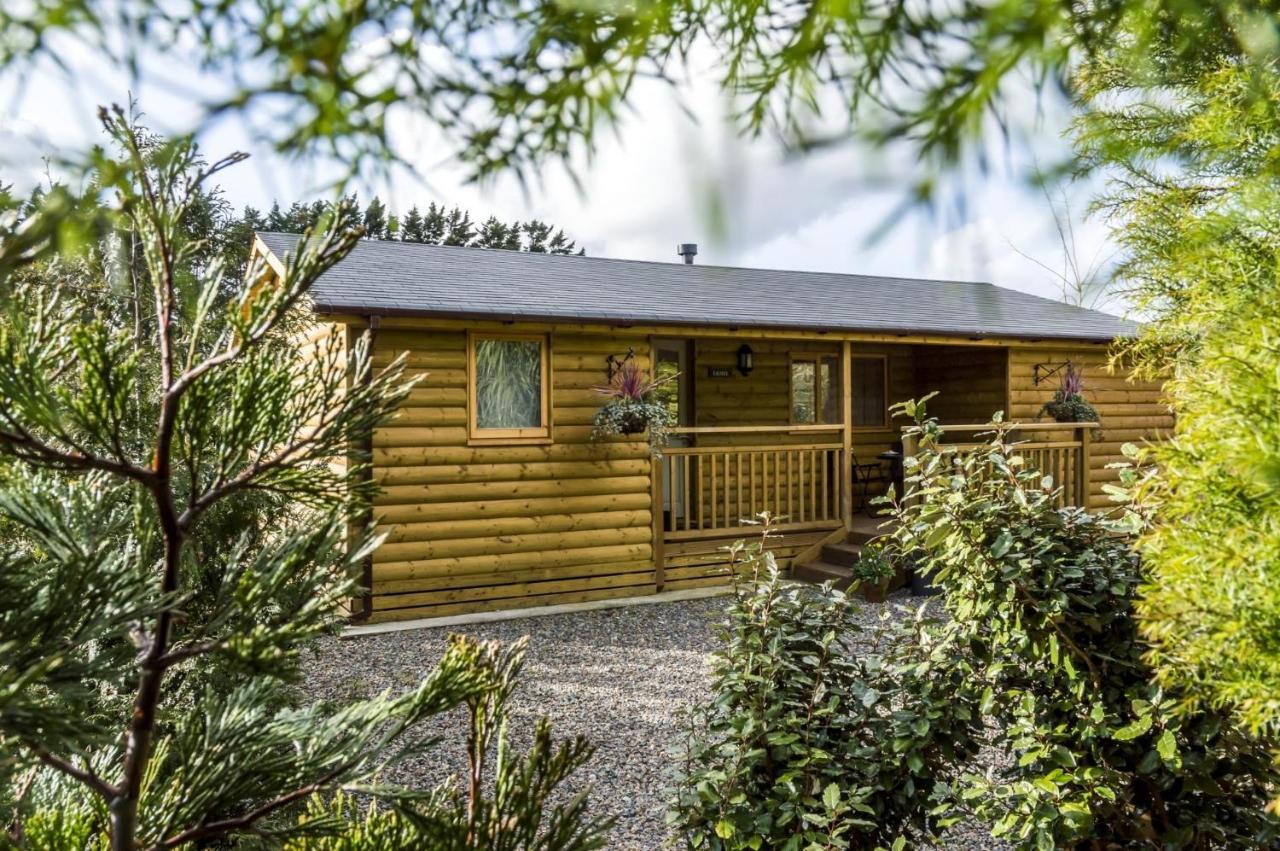 Fern Lodge - 2 Bedroom Log Cabin - Saint Florence - Tenby Esterno foto