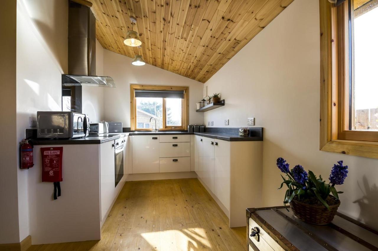 Fern Lodge - 2 Bedroom Log Cabin - Saint Florence - Tenby Esterno foto